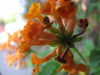 IMG_LookCloser3