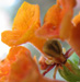 IMG_LookCloser4